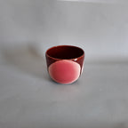 Nova Cup