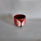 Nova Cup