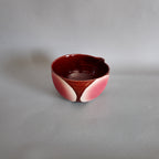 Nova Chawan